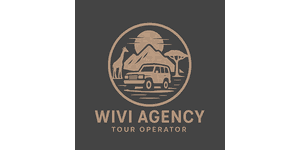 Wivi Agency Logo