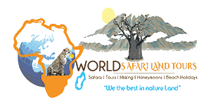 World Safari Land Tours