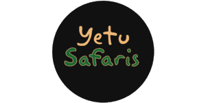 Yetu Tours and Safaris