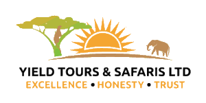 Yield Safaris and Tours  Logo