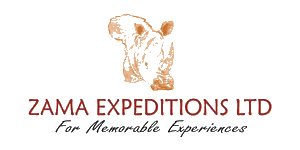 Zama Expeditions  Logo