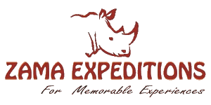 Zama Expeditions  Logo