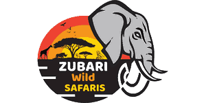 Zubari Wild Safaris