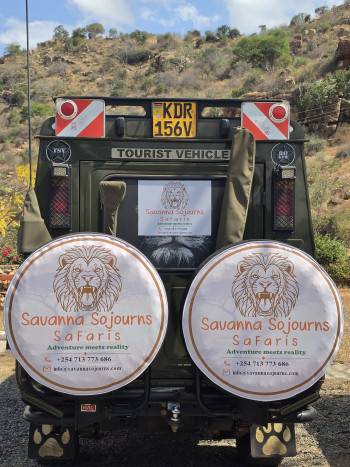 Savanna Sojourns Safari