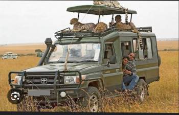 Blingson Safaris Photo