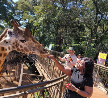 WildPulse Adventures Photo
