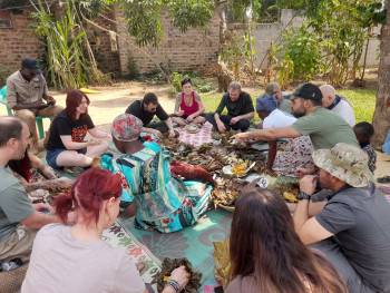 Herping and Wildlife Safaris Photo