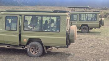 "Safari Beyond Imagination"