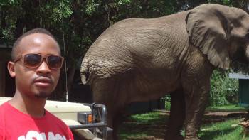At Ngorongoro Creater just next to elephant