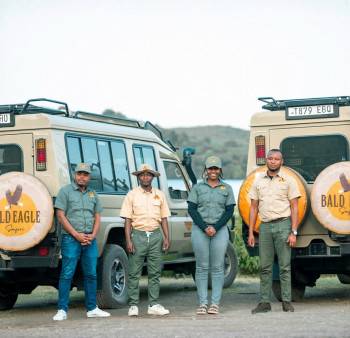 Bald Eagle Safaris Photo