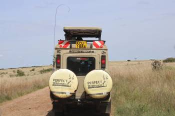 Perfect Wilderness Tours and Safaris Photo