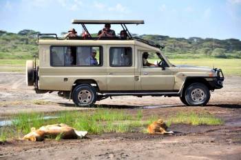 Joymark Tours & Safaris Photo