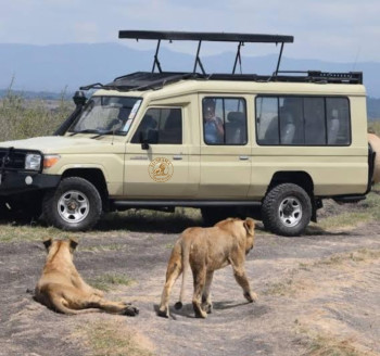 Eli-Shama Divine Safaris