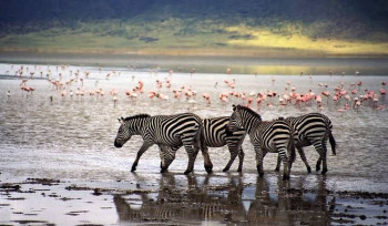 Havillah  Tours Photo