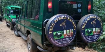 Safari vehicle on Ugandan safari