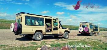 Our Vehicles in The Serengeti