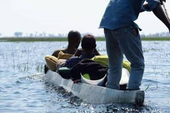 African Jacana staff crusing to the Cheif's Island