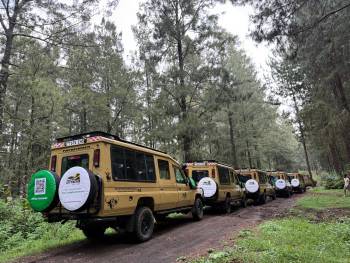 Your Tanzania Safari - A Soul's Delight Adventure