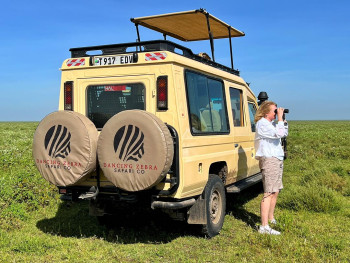 Dancing Zebra Safari  Photo