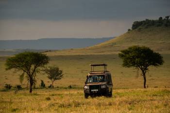 Topguides Safaris Photo