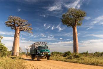 Come To Madagascar Photo