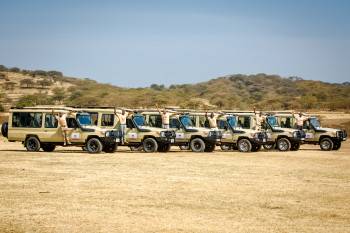 Watoto wa Bingwa Safaris  Photo