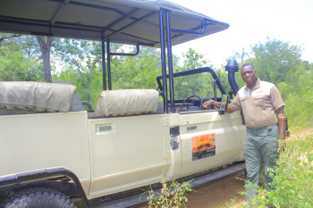 Bush Giant Safaris Photo