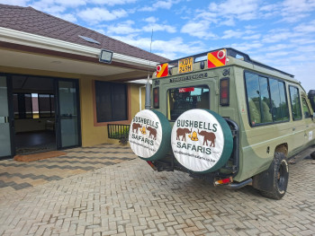 Bushbells Safaris Photo
