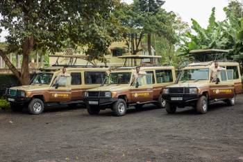 Congema Tours & Safaris Photo