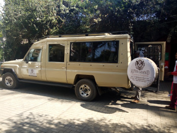 Safari Dot Alpha Grand Photo