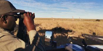 African Big Five Tours and  Safaris