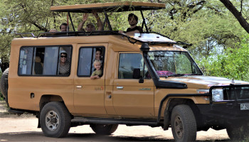 The 10 Best African Safari Tour Operators With Reviews