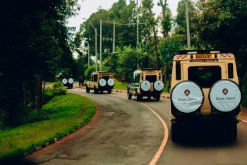 Shalom Safaris Rwanda Photo