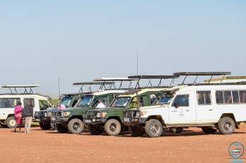 Mohrale Tours & Travel  in Maasai Mara 