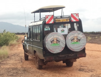 Visit to Tsavo West National Park in Shetani Lava