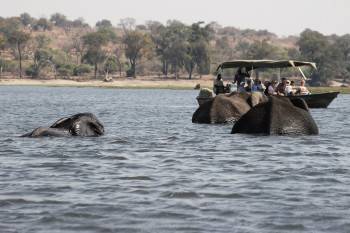 Lupeta Safari Tours Photo
