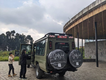 GoWild Forever Journeys Photo