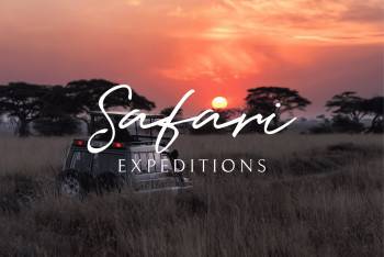 Safari Expeditions