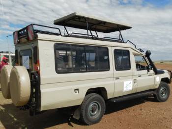 Flight to Fancy Photo