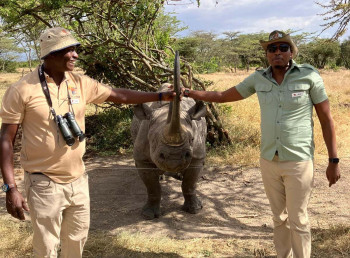 Sign Wild Adventure Photo