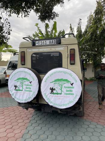 Paramount Gorilla Expeditions 