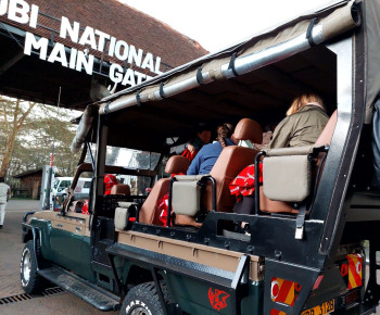 Kenya Open Sided Jeep Experience at Nairobi Park