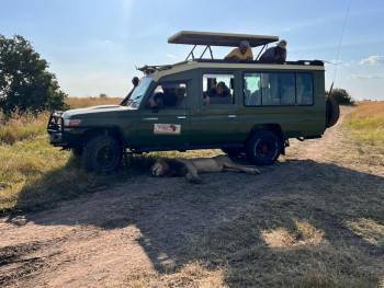 African Sunset Safaris Photo