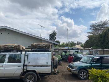 Tanzania Safari, Car rental & Kilimanjaro Trekks