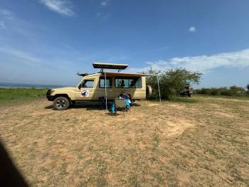 Vast Gorillas Safaris Photo