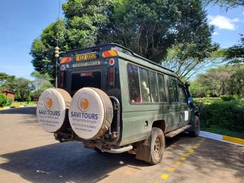 Savi Tours and Travel Photo