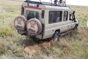 Tours by Locals (aka Kiliholidays) Photo