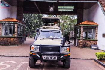Truestory Safaris Kenya Photo