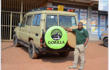 Gorilla Explorers Photo