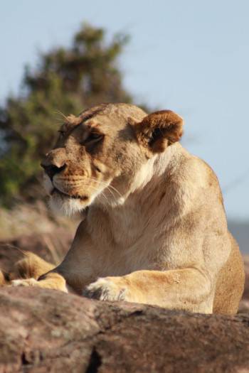Engolong Savannah Tours Photo